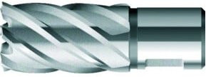 BDS Kernbohrer kurz KBK HSS Schaft Weldon in Silber Durchmesser: 55 mm, Schaft: 30 mm - Bild 1