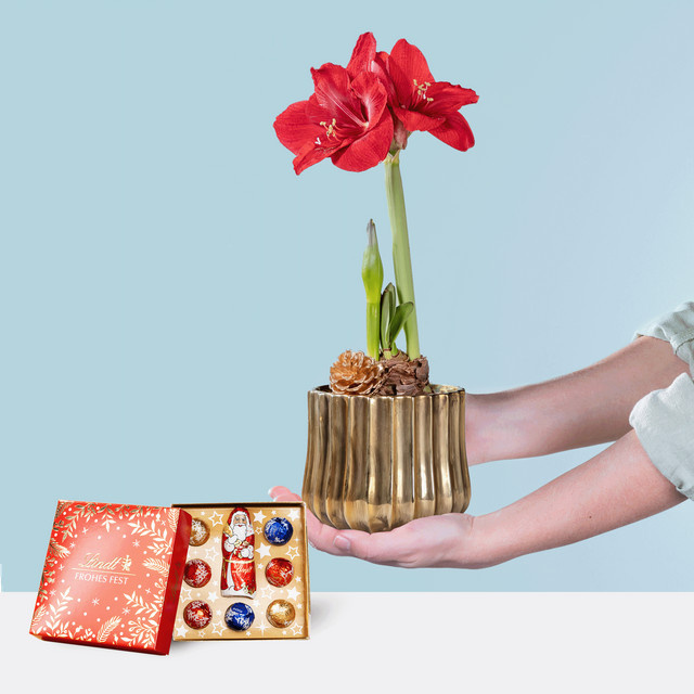 Lindt Mix Frohes Fest Weihnachtsdekoration in Rot und Gold von BLUME2000 - Bild 1