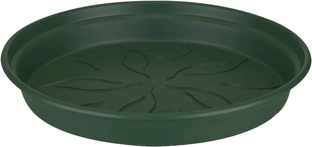 Elho Untersetzer Green Basics in Aubgrün mit Ø 14 cm - Bild 1