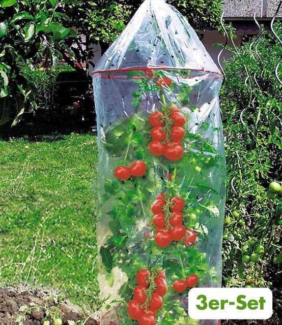 Tomaten-Reifehaube 3er-Set - Bild 1