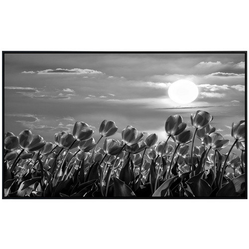 papermoon EcoHeat Infrarotheizung Blumen Schwarz Weiss mit App-Steuerung und Überhitzungsschutz - Bild 2