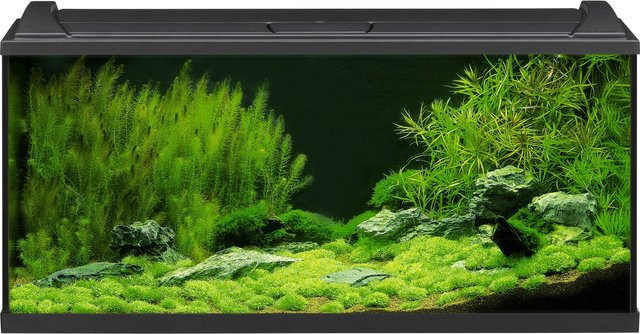 Eheim Aquapro LED Aquarium-Set, Schwarz - Bild 1
