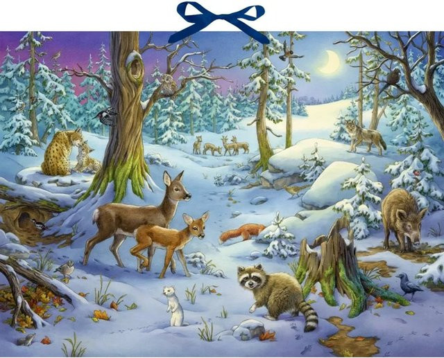 Sound-Adventskalender, Hört ihr die Tiere im Winterwald?, Bunt / Mehrfarbig - Bild 1