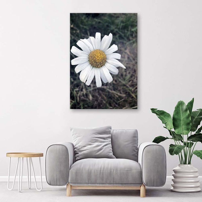 Feeby Leinwanddruck Kamillenblume Natur Floral, mehrfarbig, B: 40 cm, H: 60 cm - Bild 2