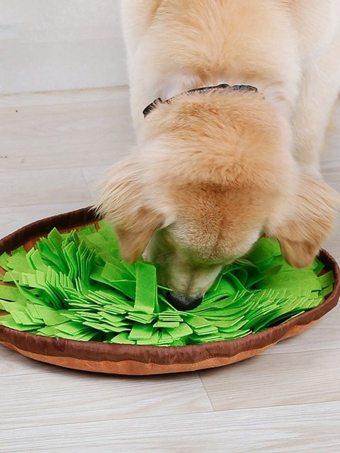 BJAYPET Pet Snuffle Mat, Fütterungsmatte, Slow Feeder - Bild 1