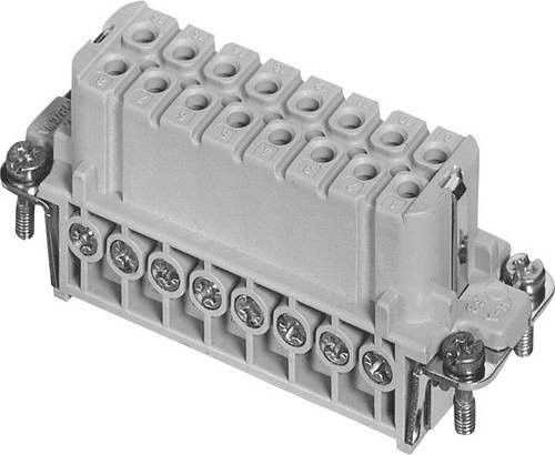 Amphenol C146 10B016 002 4-1 Buchseneinsatz mit versilberten Kontakten in Grau - Bild 1