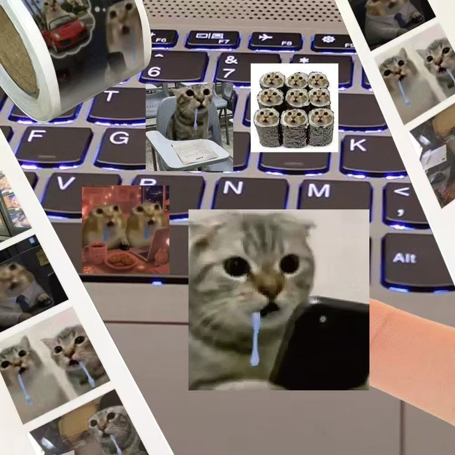 500 Stück Virale Katzen-Meme-Aufkleber in Multicolour für Scrapbook, Schreibwaren und DIY-Bastelarbeiten - Bild 4