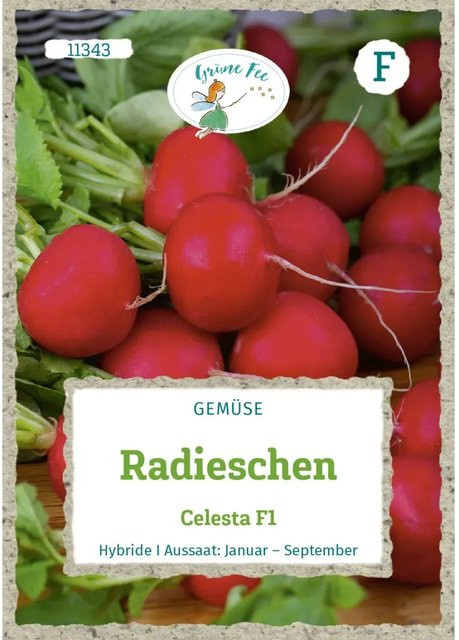 Grüne Fee Radieschen Celesta F1 Saatgut 250 g - Bild 1