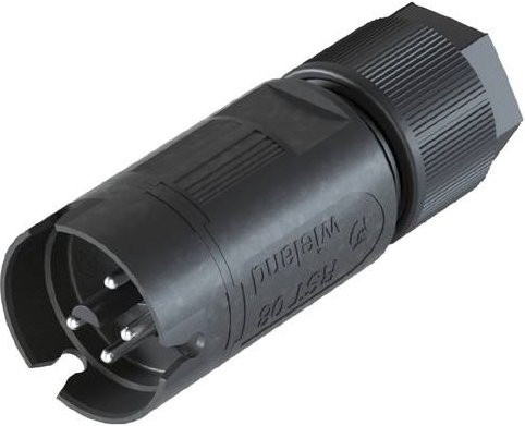 Wieland Electric 41.042.3053.1 Steckverbinder in Schwarz - Bild 1