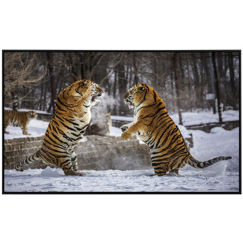 papermoon Infrarotheizung EcoHeat Kampf gegen Sibirische Tiger in Bunt mit Matt-Effekt, App-Steuerung und Überhitzungsschutz - Bild 2