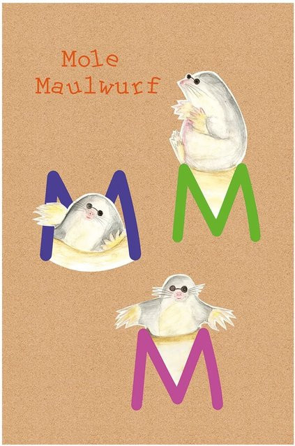 Komar Wandbild ABC Animal auf Fotopapier, Mehrfarbig, Breite: 30 cm, Höhe: 40 cm - Bild 1