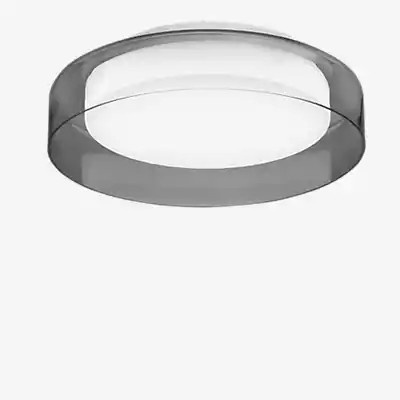 Peill+Putzler Cyla LED Wand- und Deckenleuchte in Anthrazit mit transparentem Glasschirm, Durchmesser: 40 cm - Bild 1