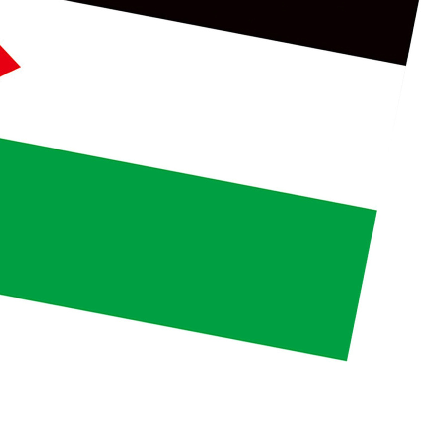 Palästina Flagge von KaiSai aus Polyester mit 2 Messingösen, B/H: 60 x 90 cm - Bild 4