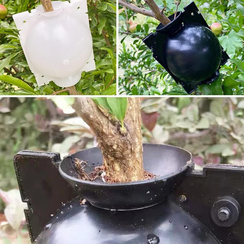 Lanzhong home life Set aus 5 Pflanzenbewurzelungskugeln zur Pflanzenvermehrung und zum Abmoosen, Farbe: Schwarz, Durchmesser: 5 cm - Bild 7