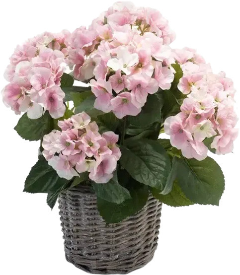 Künstliche Hortensie Lennard von Aplanta, Höhe: 45 cm - Bild 1