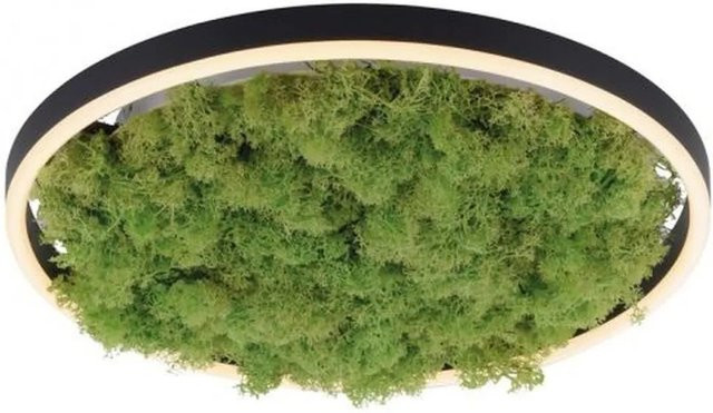 Licht-Erlebnisse LED Deckenlampe Rund in Schwarz und Moosgrün, Durchmesser: 39,3 cm, dimmbar, 2650 Lm, Warmweiß 3000 K - Bild 1