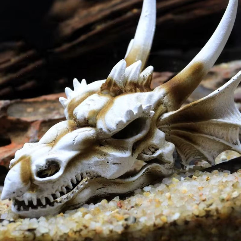 Strong-Toyers Dinosaurier Kopf Schädel Ornament aus Kunstharz in Weiß für dein Aquarium oder als Halloween Dekoration - Bild 2