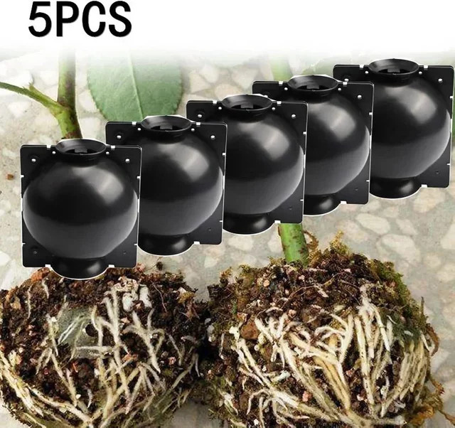 5 Stück transparente Wurzelballen-Zuchtboxen für die Pflanzenanzucht und Aussaat im Garten oder Kindergarten - Bild 1