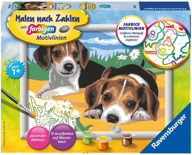 Ravensburger Jack Russel Welpen, Malen nach Zahlen, Serie D, ab 7 Jahren - Bild 1