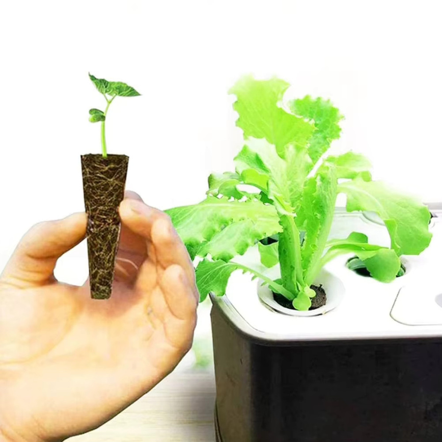 50 Stück Multiyilego Seed Starter Plugs für Hydrokultur in Braun - Bild 1