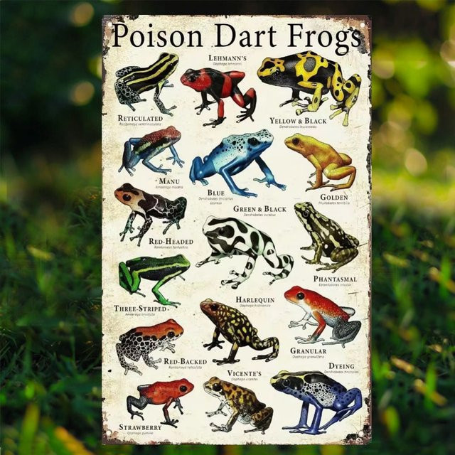 HELLOYOUNG Retro Poison Dart Frogs Aluminiumschild, Mehrfarbig, B: 30,0 cm, H: 20,0 cm, T: 0,1 cm - Bild 1