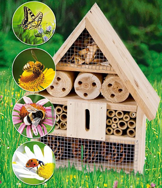 Bienen- & Insektenhaus - Bild 1