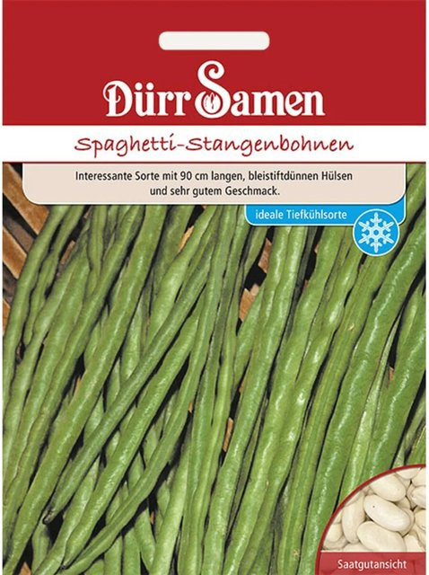 Dürr Spaghetti-Stangenbohnen Saatgut - Bild 1