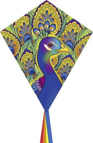 Ecoline Drachen Eddy Peacock aus Ripstop-Polyester mit 580 mm Spannweite für Windstärken 2 bis 5 Bft - Bild 1