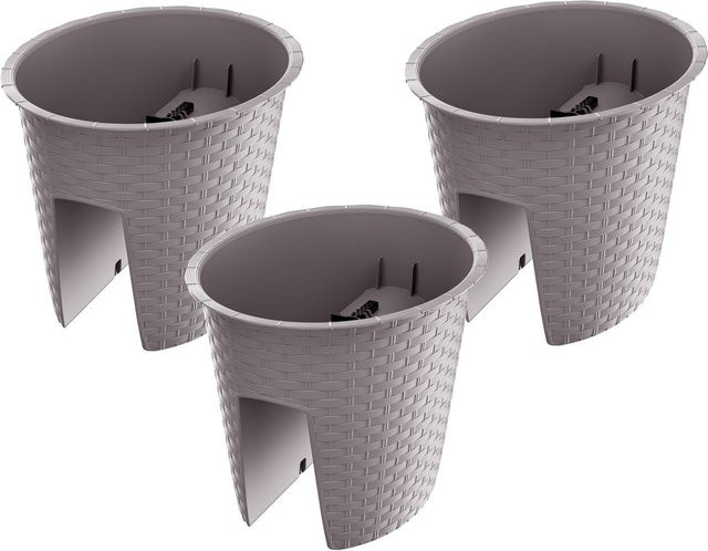 PROSPERPLAST Geländertopf Ratolla Railing 3er Set Oval Mocca B/T/H: 29,8 x 24,2 x 22,5 cm - Bild 1