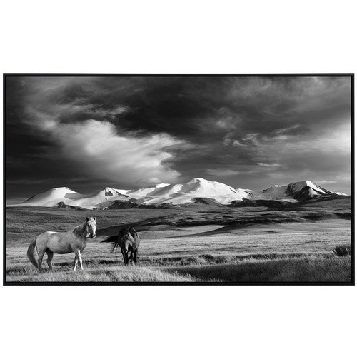 papermoon Infrarotheizung EcoHeat Pferde Steppe in Schwarz und Weiss mit Matt-Effekt und App-Steuerung - Bild 2