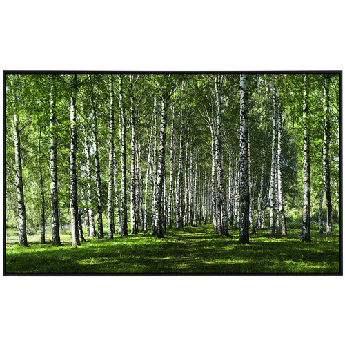 papermoon Infrarotheizung EcoHeat Birkenwald mit Matt-Effekt in Bunt, App-Steuerung und Überhitzungsschutz - Bild 2