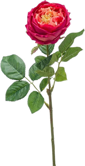 Künstliche Rose Estefania von Aplanta, Höhe: 60 cm - Bild 1