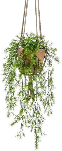 Künstlicher Hänge-Zierspargel Aplanta Green Plant, Höhe: 65 cm - Bild 1