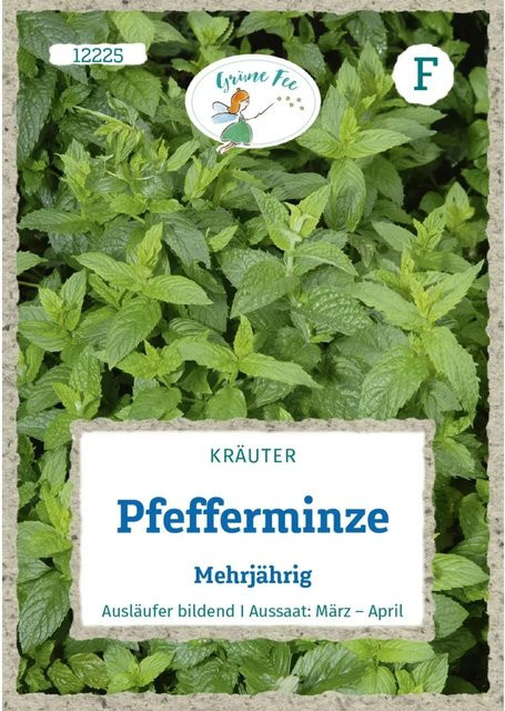 Grüne Fee Pfefferminze mehrjähriges Saatgut - Bild 1