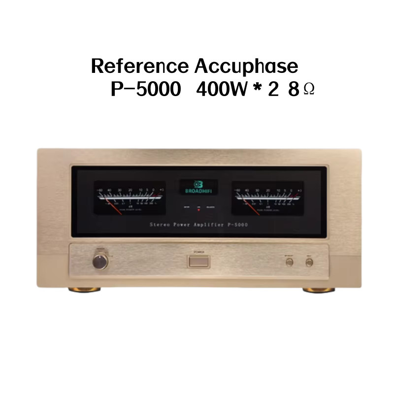 Accuphase P-5000 Stereo-Röhrenverstärker in Silber mit symmetrischem und RCA-Eingang - Bild 1