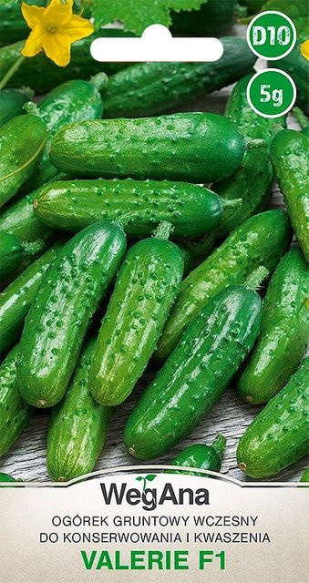 WegAna Valerie Gemahlener Gurkenkern 3 g Gemüsesamen zum Anbau im Garten und Gewächshaus - Bild 1