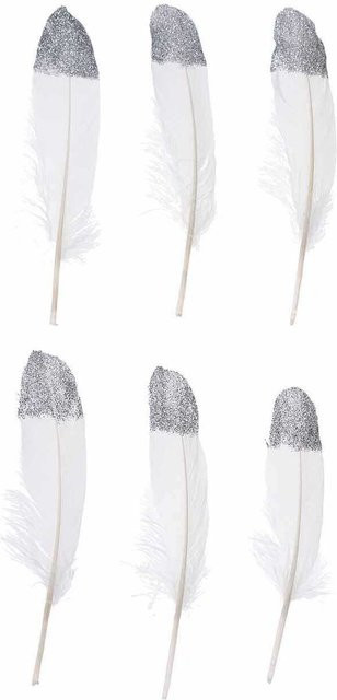 idee. Creativmarkt Gänsefedern Weiß-Silber, 6 Stück, Länge: 18 cm - Bild 1