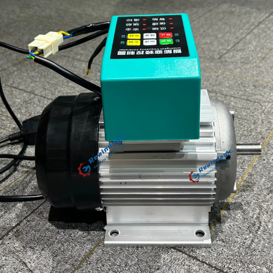 Rewindagic Einphasengenerator Permanentmagnetgenerator mit 220V Antriebsmotor und variabler Frequenz (20KW/50KW/80KW) - Bild 5