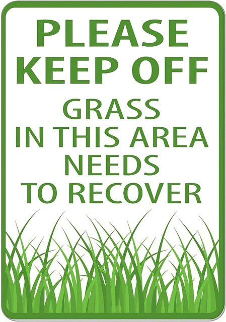 CIFBUY Metallschild zur Wandmontage mit englischem Text Bitte halten Sie Grass in diesem Bereich ab, müssen sich wiederherstellen, Rechteckig, B/H: 30 x 20 cm - Bild 1