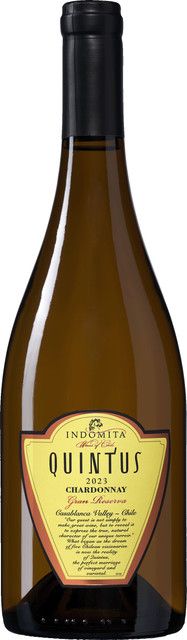 Quintus Chardonnay Weißwein, Casablanca-Tal, Chile, 0,75 l - Bild 1