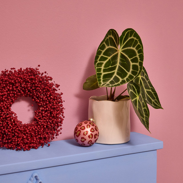 Moderner Keramik Übertopf von BLUME2000 in Weiß, Höhe: 14,5 cm, Breite: 14,5 cm, Tiefe: 14 cm - Bild 1