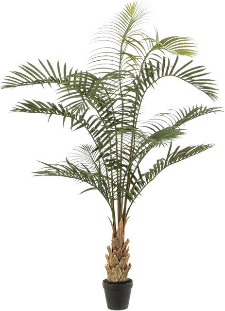 Künstliche Areca Palme Suri von Aplanta, Höhe: 120 cm - Bild 1