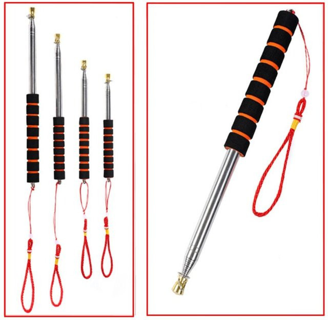 Teleskop Fahnenmast Handheld Windsack und Flaggenmast für Lehrer und Reiseleiter - Bild 1