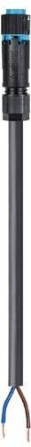 Wieland Electric Anschlussleitung Schwarz 46.422.1033.9 - Bild 1