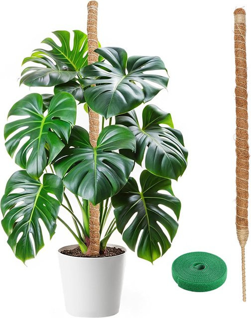 Biegbare Pflanzen-Kletterhilfe als Moosstange für Monstera und Palmen, braun, Höhe: 60-100 cm - Bild 1