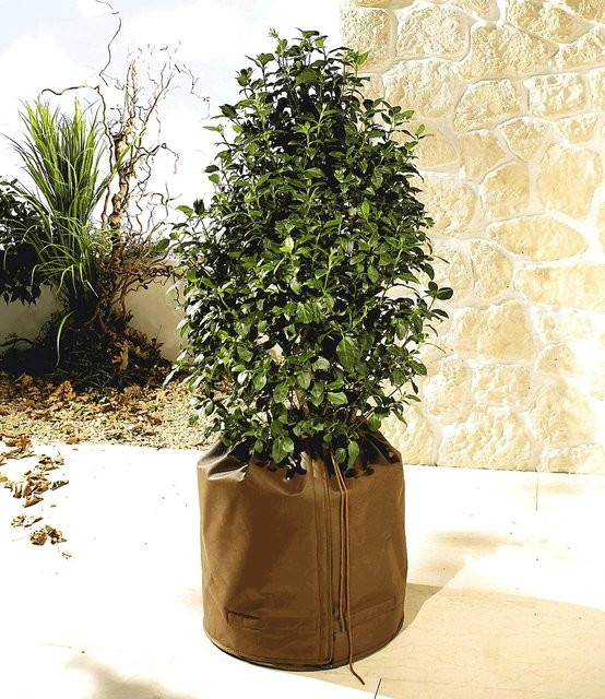 Topfschutz Thermo Plus 45 cm - Bild 1