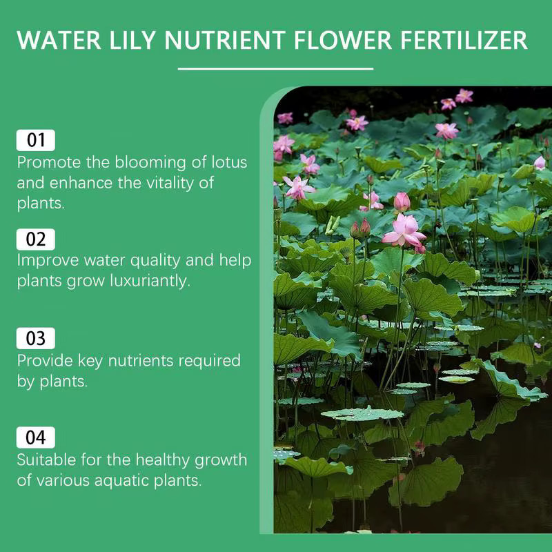 Hydroponischer Lotusdünger für Seerosen und Teichpflanzen zur Förderung des Wachstums und der Blüte, Weiß - Bild 4