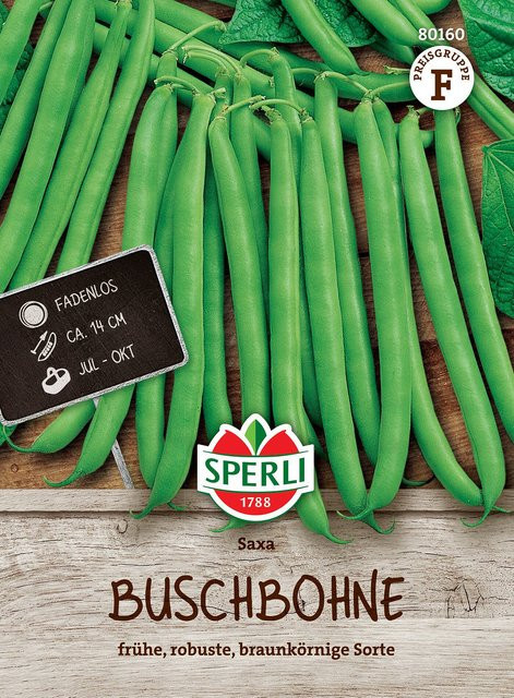 SPERLI Buschbohnen-Samen Saxa - Bild 1