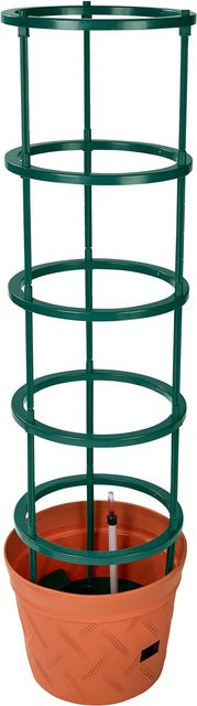 Genialo Tomaten-Pflanztopf 2 in 1 für den Gemüsegarten in Grün, B/T/H: 35,0 x 114,0 x 2,0 cm - Bild 1