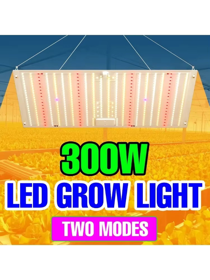 CanLing 300W LED Vollspektrum Quantum Board Anbau Lampe für Indoor Pflanzen, Obst und Gemüse - Bild 3